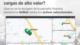 Redes_OnWall_CargasValor_Editable