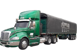 image-removebg-preview (2)